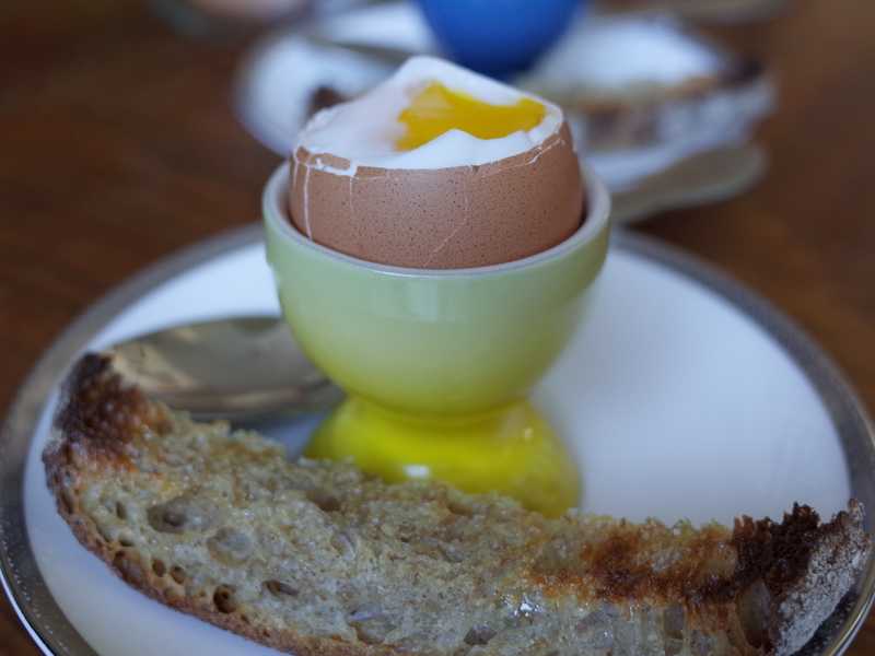 Soft-boiled eggs and egg cups – Food Science Institute