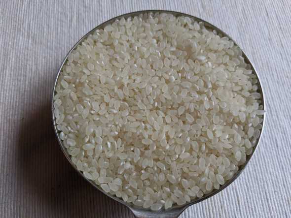 short grain rice