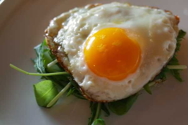 The Crispy Fried Egg